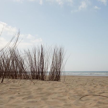 Apartamento Coquina Mrz Rentals Barbate Extérieur photo